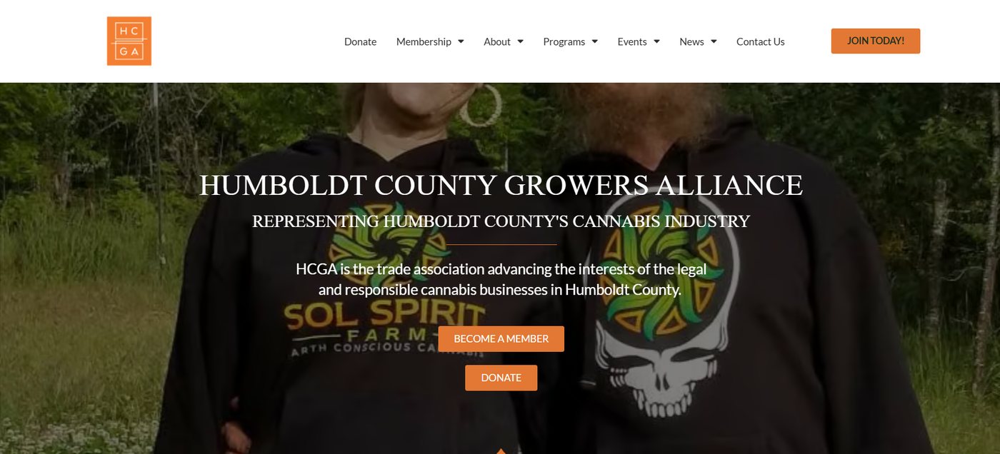 HCGA website preview